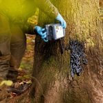 Eurohunt katran od bukve – kanta 3 kg - Image 3