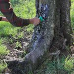 Eurohunt katran od bukve 500 g sa četkom - Image 3